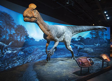 Photo of a dinosaur exhibit. Links to Gifts of Appreciated Securities
