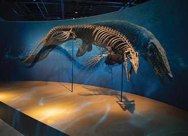 Photo of a dinosaur exhibit. Links to Gifts of Real Estate